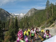 Fiji tour ( 3 Days/ 2 Nights )