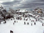 Superb Tour for Shimla Manali Special ( 8 Days/ 7 Nights )