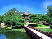 Korea Tour ( 5 Days/ 4 Nights )