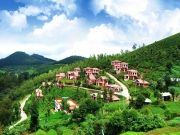Ooty & Coonoor Tour Package ( 4 Days/ 3 Nights )