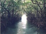 Explore Andaman Tour  ( 8 Days/ 7 Nights )