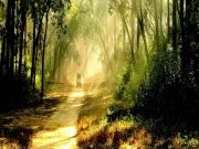 10 Best Places to Visit Near Coorg - Hello Travel Buzz