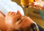 Naturoville Vedic Retreat (Ayurveda) ( 8 Days/ 7 Nights )