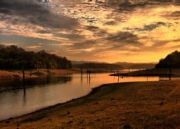 South India Wildlife Tour ( 16 Days/ 15 Nights )