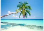 Gateway To South India Tour ( 16 Days/ 15 Nights )