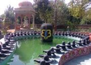 Adventure Unlimited Uttarakhand Tour ( 10 Days/ 9 Nights )