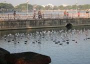 Detroit to chennai flight deals