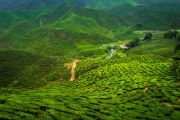 INCREDIBLE PLACES TO VISIT IN INDIA BEFORE YOU DIE DARJEELIN ( 2 Days/ 1 Night )