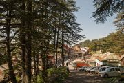 BEST HILL STATIONS TOUR PACKAGE IN CHAIL ( 2 Days/ 1 Night )
