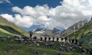 Splendid Uttarakhand 5n/6d ( 6 Days/ 5 Nights )