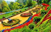 Ooty Package ( 3 Days/ 2 Nights )