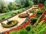 Ooty Short Trip Package ( 2 Days/ 1 Night )