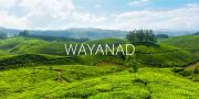 Wayanad ( 2 Days/ 1 Nights )