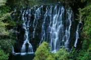 Assam Meghalaya Tour ( 8 Days/ 7 Nights )