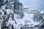 Grand Himachal Beauty ( 11 Days/ 10 Nights )