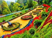 Mysure Ooty Package ( 3 Days/ 2 Nights )