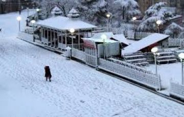 Shimla Kullu Manali Honeymoon Package at Best Prices