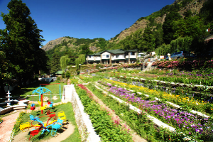Nainital Travel Packages
