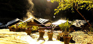 Shoghi