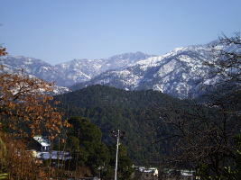 Bakloh