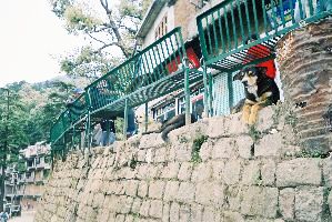McLeod Ganj