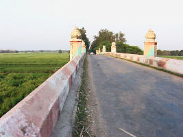 Gulaothi