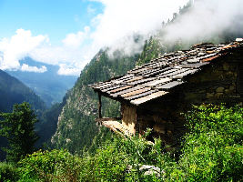 Malana