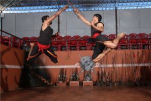 Kadathanadan Kalari Centre, Kumily