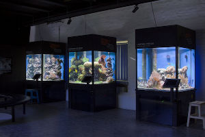 Sjofartsmuseet Akvariet