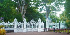 Mauritius National Botanical Garden