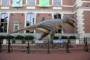 Academy Of Natural Sciences Of Drexel University