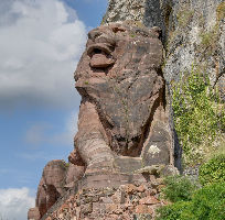 Tracking Down The Lions 