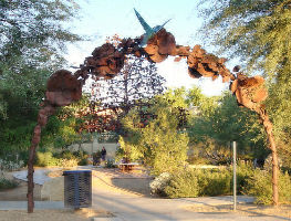 Desert Breeze Hummingbird Habitat
