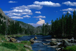 Yellowstone River
