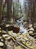 Natchaug State Forest