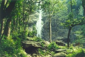 Palaruvi Waterfalls