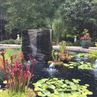 State Botanical Garden Of Georgia