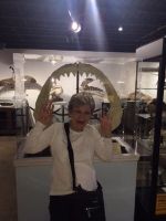 Georgia Museum Of Natural History