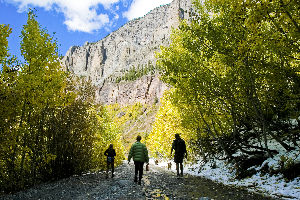 Aspen Walking Tours