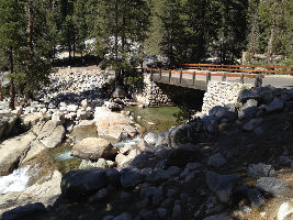 Lodgepole Campground 