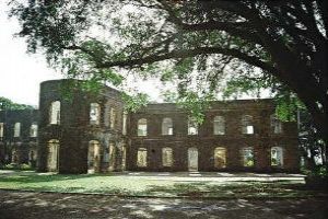 Discover antic beauty in Farley Hill National Park