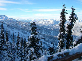 Whistler Mountain