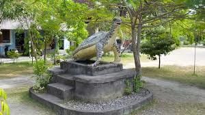 Turtle Conservation And Education Centre 