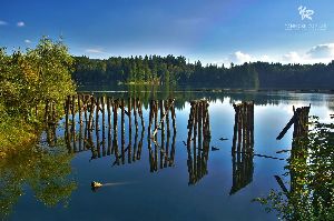Hayward Lake