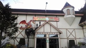 Castle Fun Park