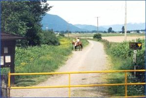 Matsqui Trail Regional Park
