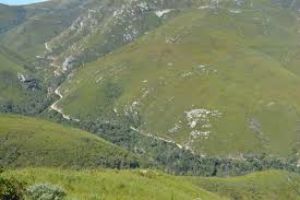 Montagu Pass