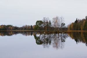 Hydroelectric Power Plant