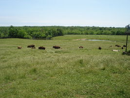 Wildlife Prairie Park 