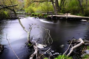 Connetquot River State Park Preserve